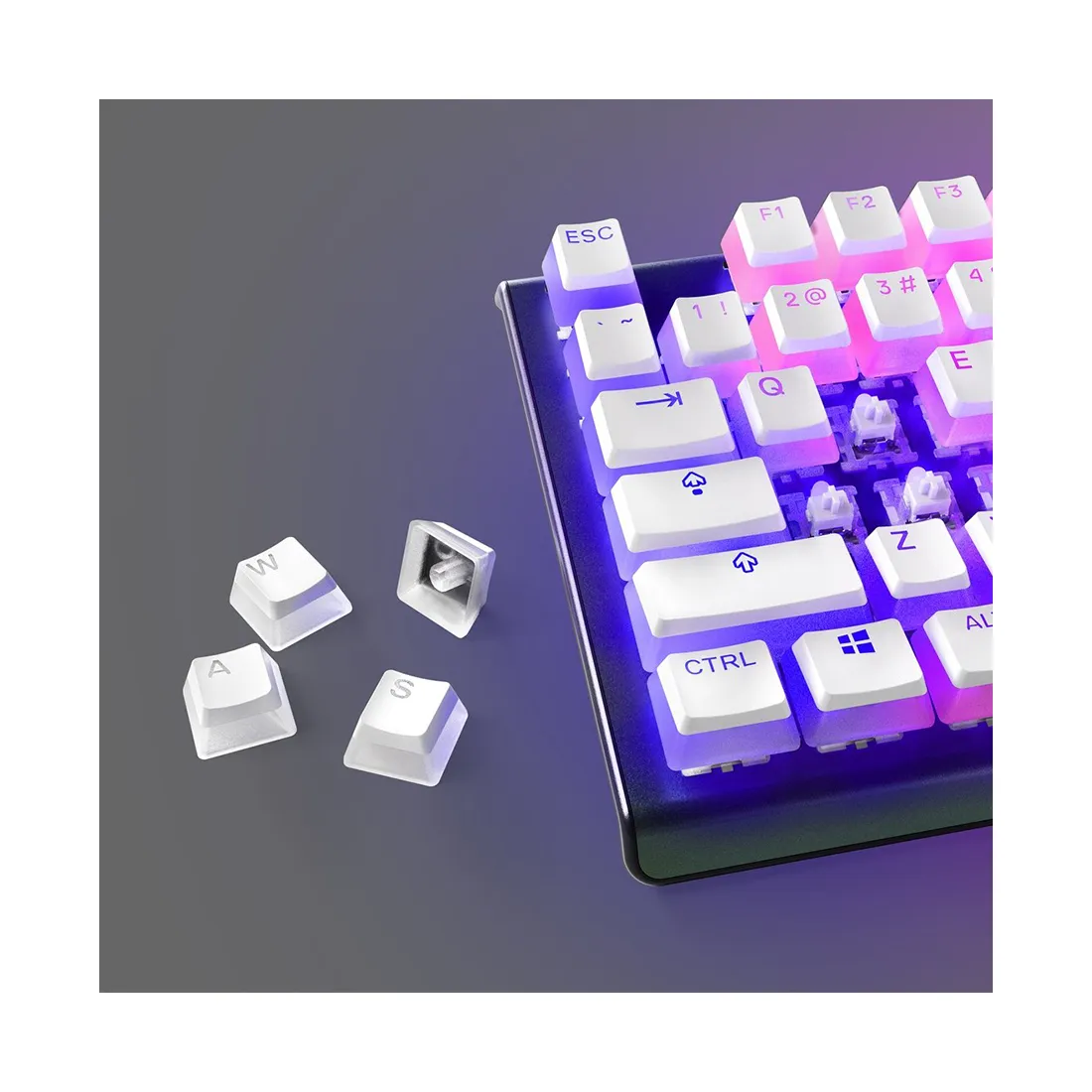 Набор кнопок на клавиатуру Steelseries PrismCAPS White- US (White) — изображение 3