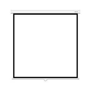 Экран Deluxe DLS-M305W (120"х120"), Ø - 170", Раб. поверхность 297х297 см., 1:1