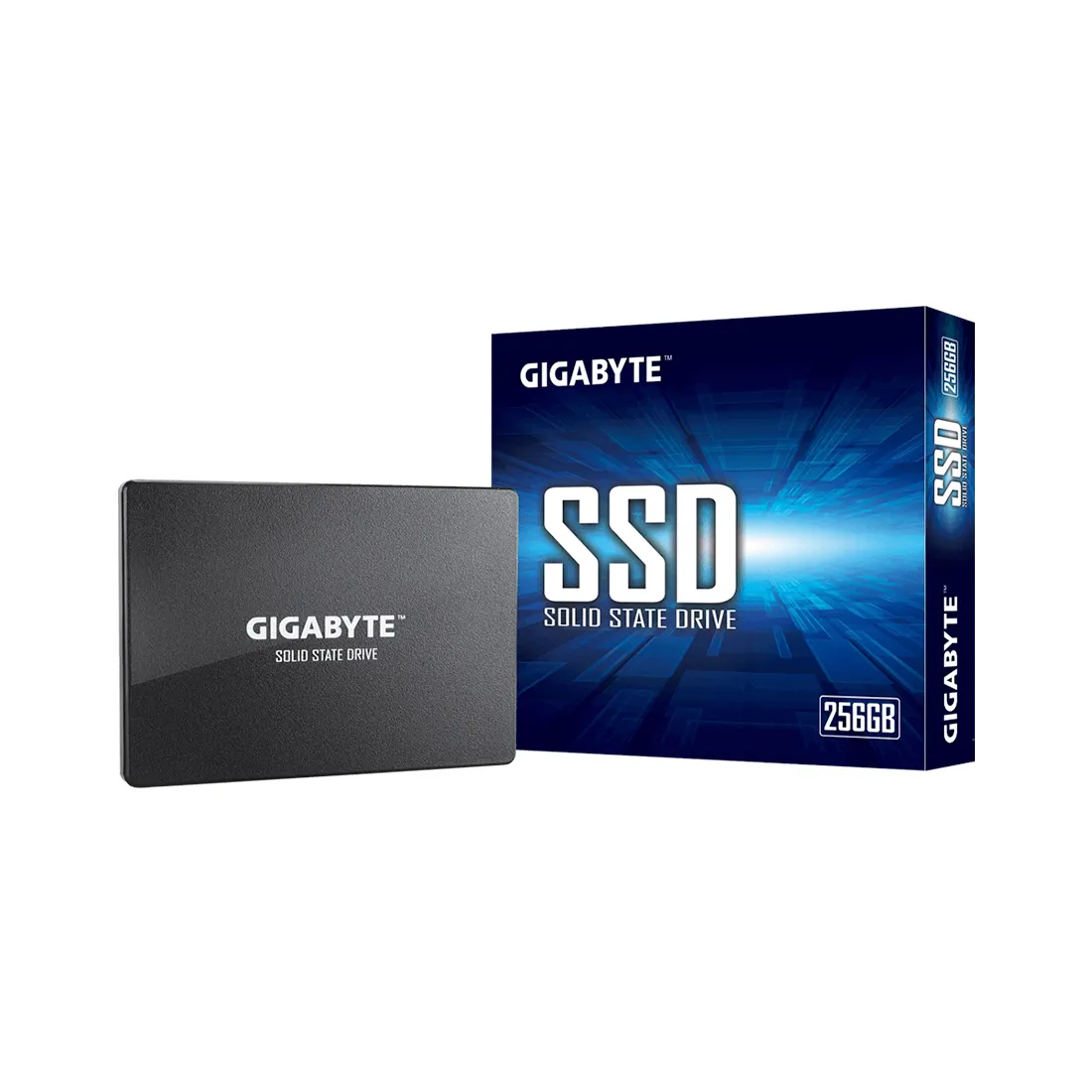 Твердотельный накопитель внутренний Gigabyte GSTFS31256GTND — изображение 3