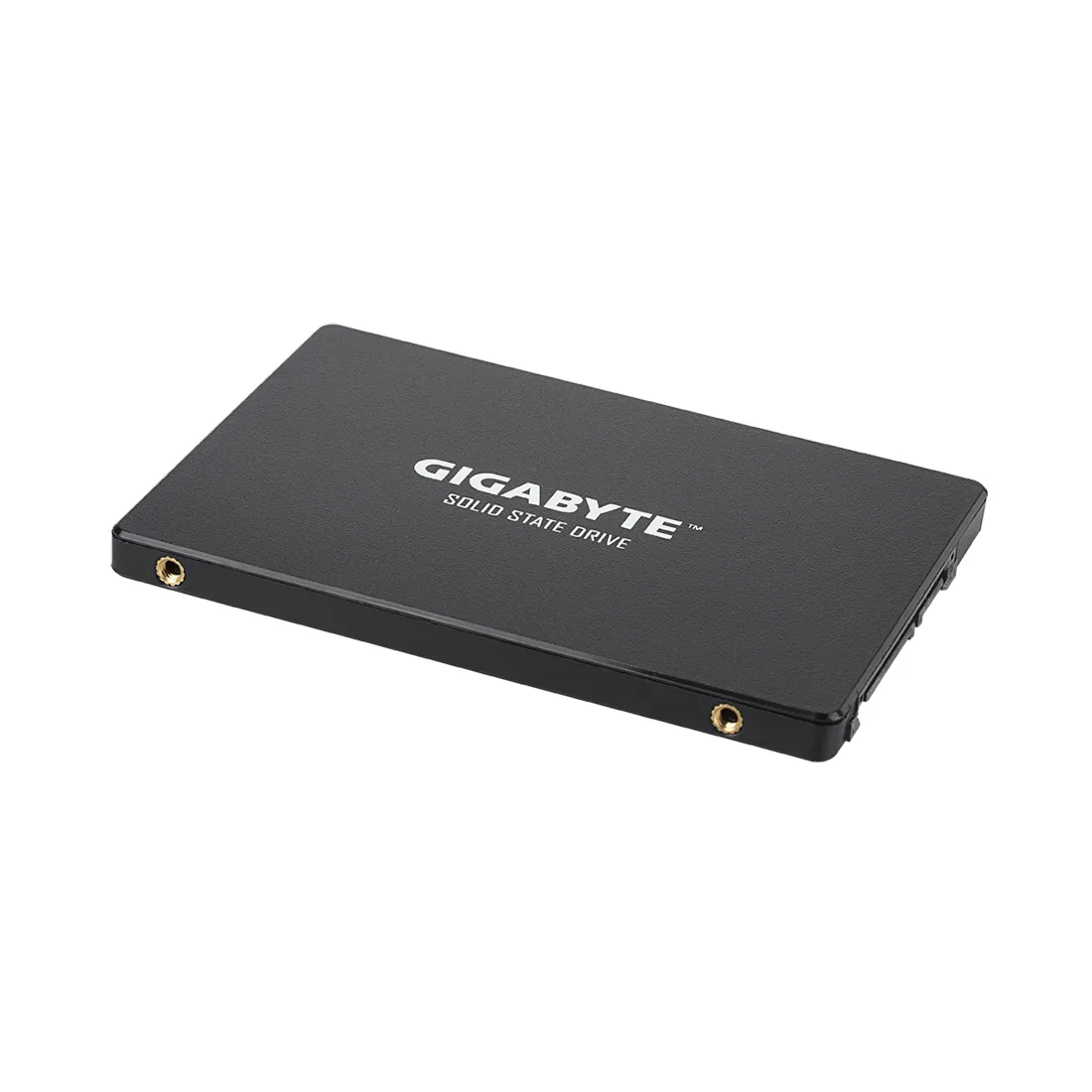 Твердотельный накопитель внутренний Gigabyte GSTFS31256GTND — изображение 2