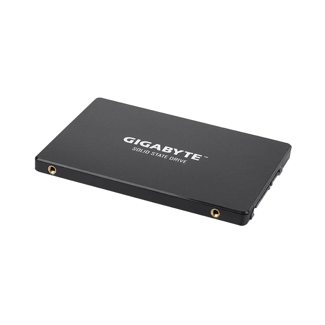 Твердотельный накопитель внутренний Gigabyte GSTFS31240GNTD — изображение 2