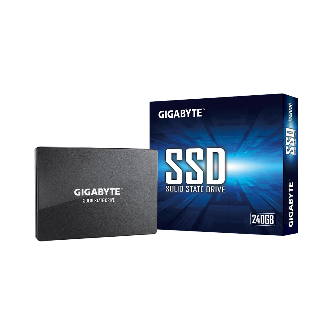 Твердотельный накопитель внутренний Gigabyte GSTFS31240GNTD — изображение 3