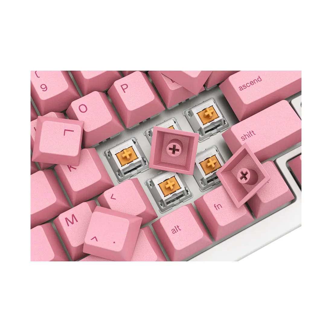 Набор кнопок на клавиатуру Glorious GPBT Keycaps Grapefruit (GLO-KC-GPBT-PG) — изображение 3