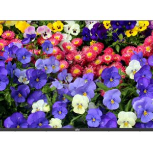 MW3243-F-V Монитор