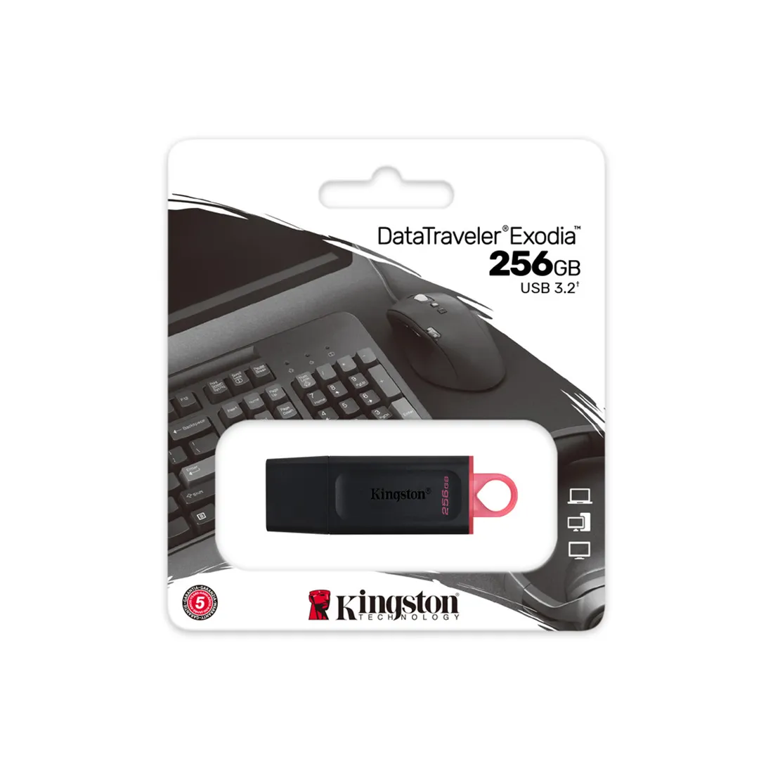 USB-накопитель Kingston DTX/256GB 256GB Чёрный — изображение 3