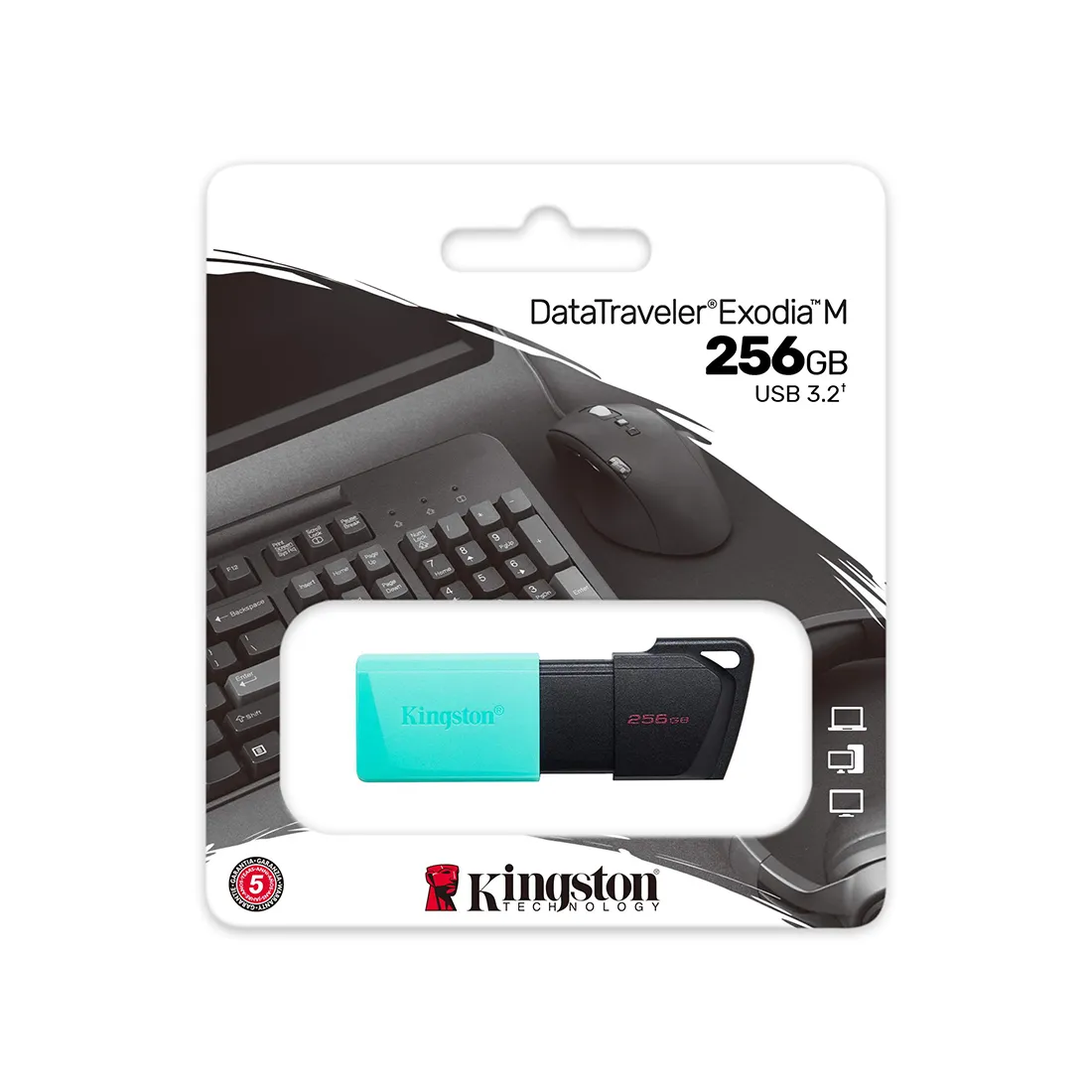 USB-накопитель Kingston DTXM/256GB 256GB Бирюзовый — изображение 3