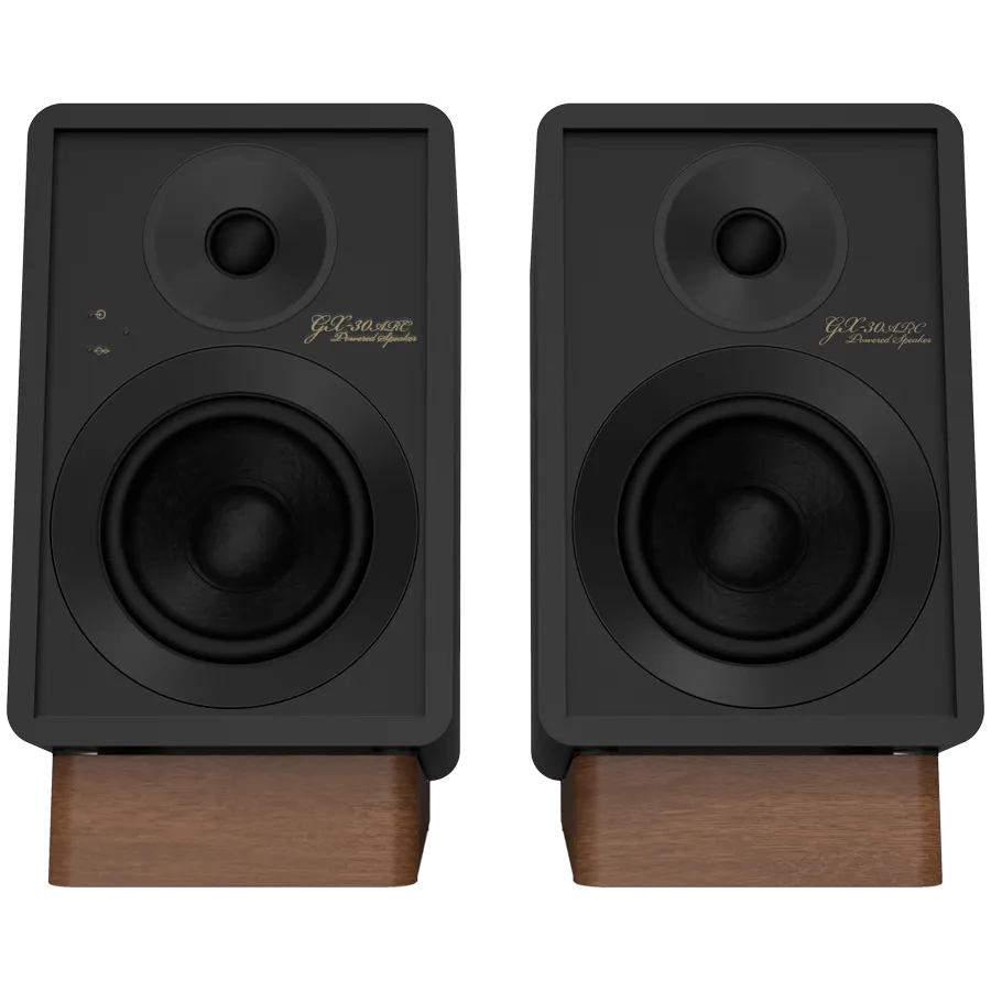 Onkyo Creator Series GX-30ARC Powered Speakers, Black, pair — изображение 2